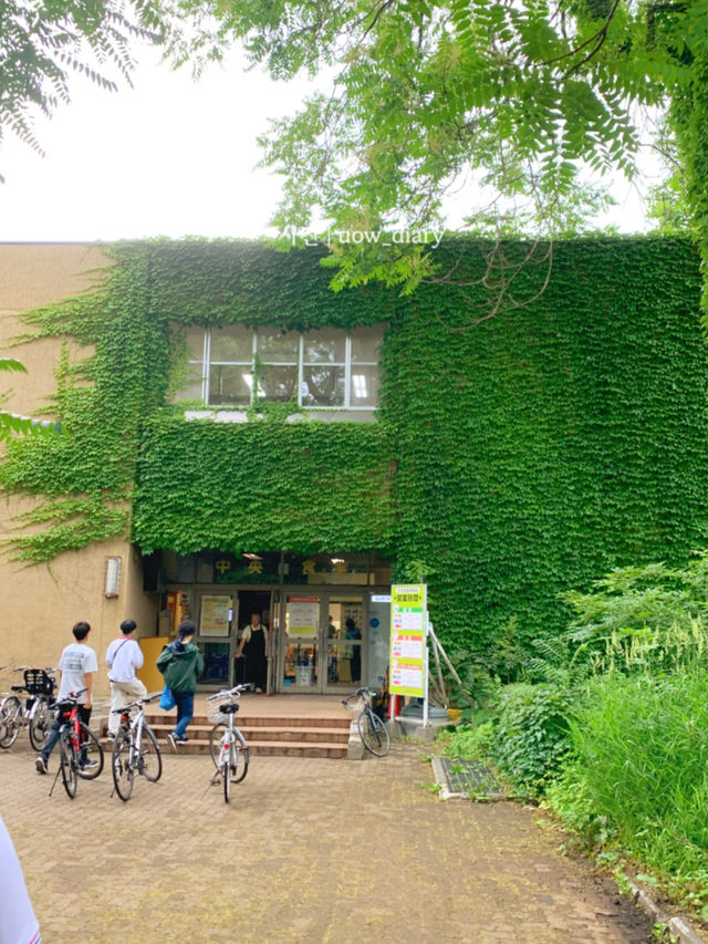  🇯🇵 여름 삿포로 여행에서 만난 힐링 스팟 🌿