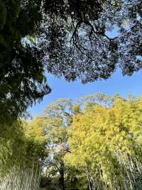 A Slow and Serene Day at Okayama Korakuen Garden