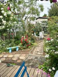 【大分】大分の初夏の有名スポット！華麗なバラ園✨