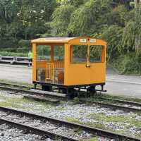 🚶‍♂️🚴‍♀️ Rail Corridor — A Super Friendly Weekend Hiking & Cycling Route!
