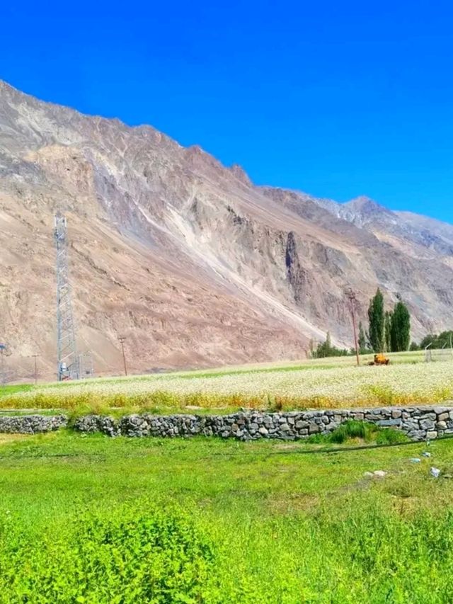 Turtuk Waterfall & Village – A Hidden Oasis in Ladakh