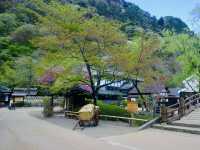 Wandering Edo: A Peaceful Stroll Through Japan’s Historic Village