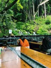 🌿【福島で夏の涼を味わうならここ！】 🏞️「流しそうめん 吾妻庵」@福島市