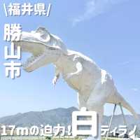 1度は見てみたい‼️映えるティラノサウルス