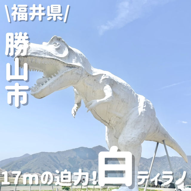 1度は見てみたい‼️映えるティラノサウルス