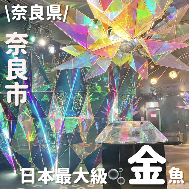 日本最大級‼️映えまくり金魚ミュージアム