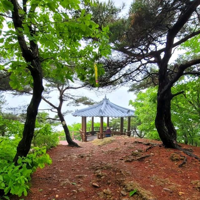 History, Views, and Forest Feels All in One