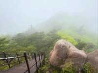 Misty Mountain Magic at Wolchulsan