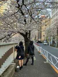 โอซาก้า🇯🇵