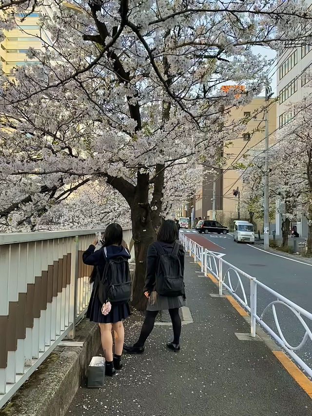 โอซาก้า🇯🇵