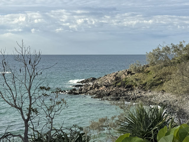 Embrace Noosa National Park