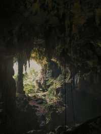 MORE THAN JUST A NATURAL WONDER! 