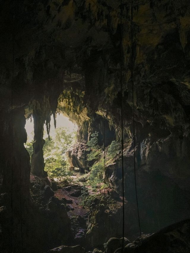 MORE THAN JUST A NATURAL WONDER! 