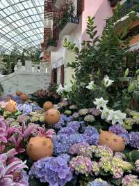 Flower Dome - Garden by the bay