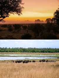 South Africa ซาฟารีแบบ Free VISA!!