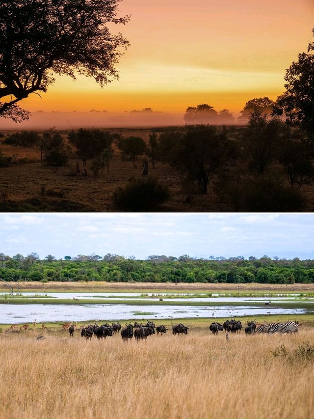 South Africa ซาฟารีแบบ Free VISA!!