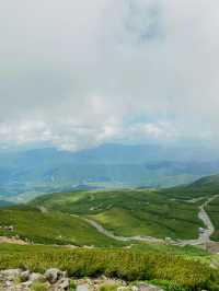 🏔️雲の上の絶景トリップ  長野と岐阜にまたがる「乗鞍岳」へ！