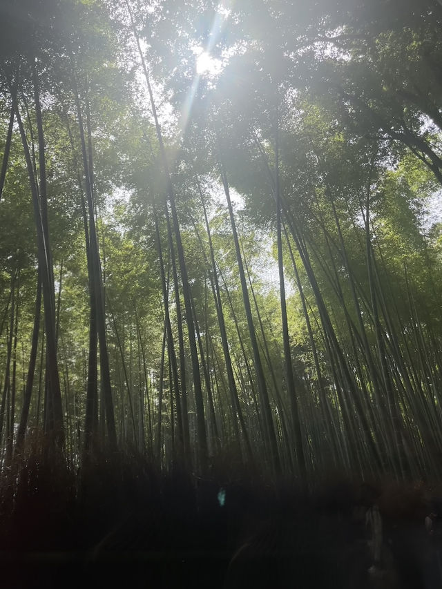 Kyoto strolling! 