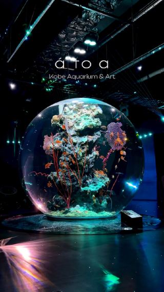 átoa aquarium&art 🪼