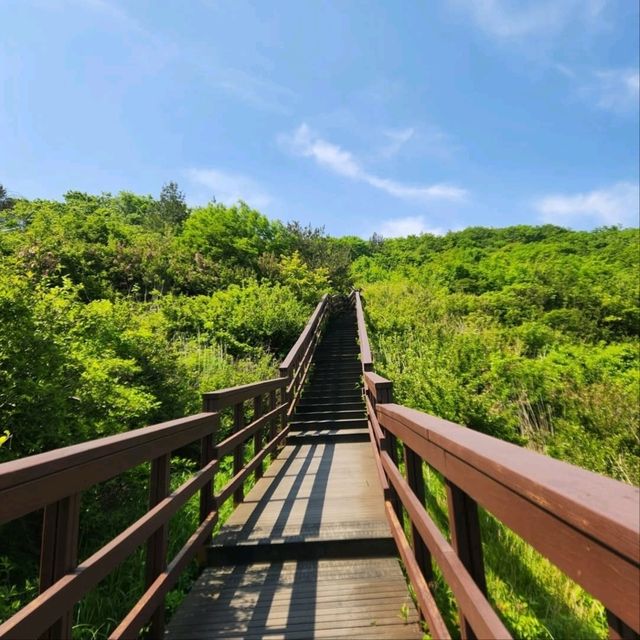 Steps, Sweat, and Temple Vibes at 820m