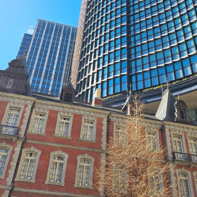 📸 긴자 & 도쿄역 여행코스!