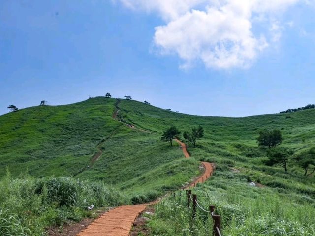 Rolling Hills & Feels