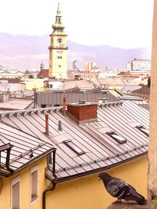 在藝術與科技交會的城市林茲，感受全新刺激 #Linz #奧地利之旅 #林茲塔