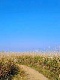 Quiet Trails & Cloud-Hugging Views at Mujangbong