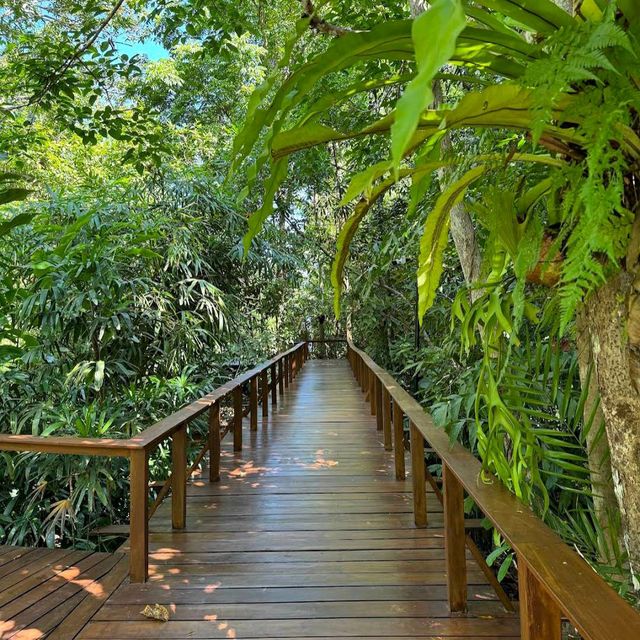 The Datai Langkawi