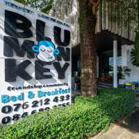 Blu Monkey Bed & Breakfast Phuket ภูเก็ต