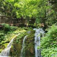 Mossy Magic at Mugeunri Falls