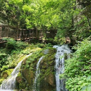 苔蘚魔法，就在茂根里瀑布