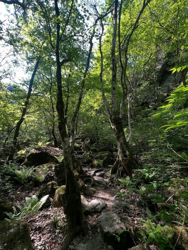 Quiet Trails & Cloudy Views