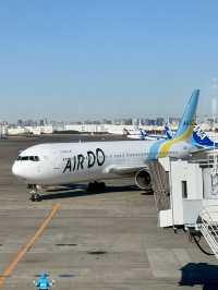 Fly to Hokkaido with AIRDO – Snowy Views & Steamy Ramen for Under $100 