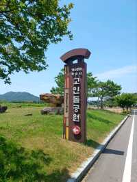 돌 속에 깃든 선사시대 이야기