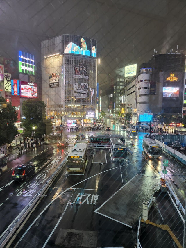 ✈ 도쿄 여행기 🇯🇵