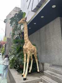  Zhongshan ย่านสุดฮิตของไต้หวัน