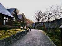 青山花園度假村酒店 GARDEN RESORT HOTEL ROSA BLANCA 住ㄧ晚