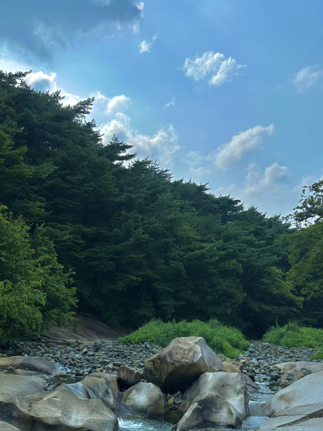 제주 바다 근처에서 즐기는 힐링 여행