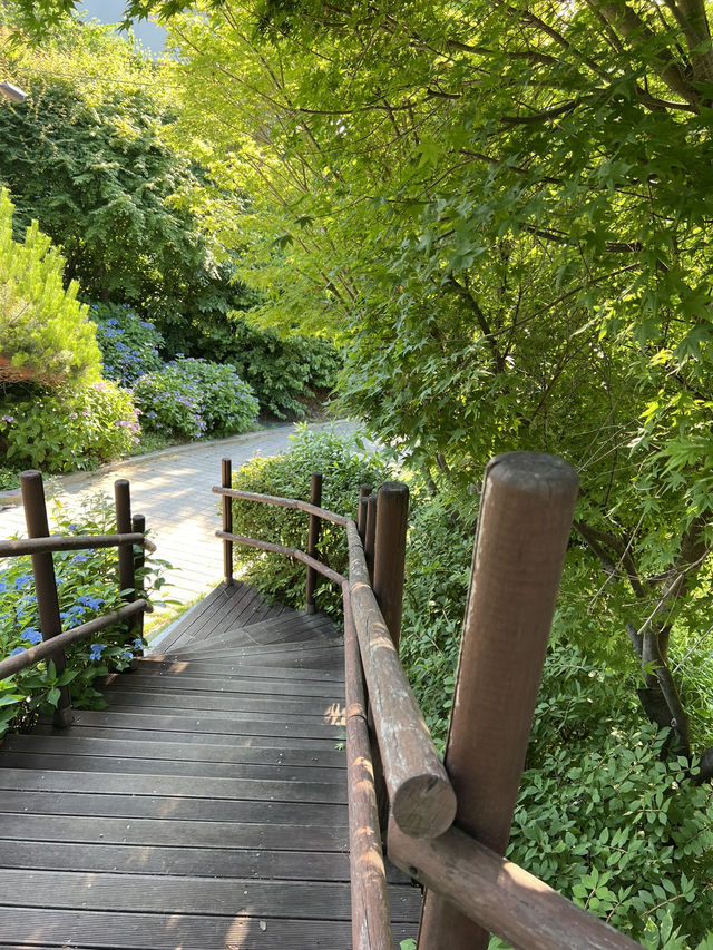7코스 둘레길을 걸으며 