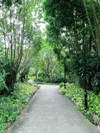Discover Tranquility at Kingfisher’s Wetland Wildlife Lookout in Singapore