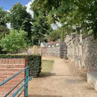 A Serene Afternoon at Caversham Court Gardens