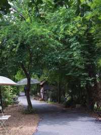 🏡🌾 Barn Naa Cafe – คาเฟ่บ้านกลางนา ที่ละมุนหัวใจ