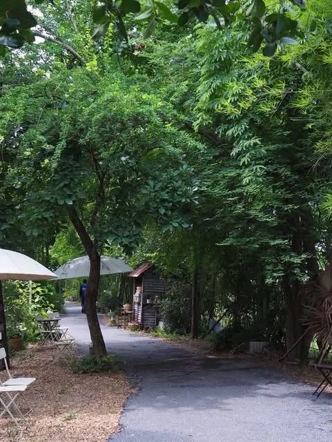 🏡🌾 Barn Naa Cafe – คาเฟ่บ้านกลางนา ที่ละมุนหัวใจ