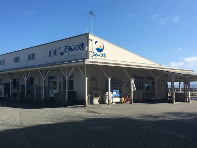  【海と遊ぶ休日🌞】うみんぐ大島で釣りもカヤックも満喫！