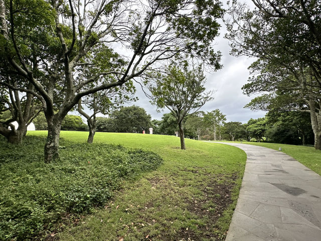 🍵「茶香飄渺，心靈蘇醒：揭開濟州綠茶博物館的緘默詩篇」