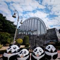 【マカオ】無料でパンダに会える公園がマカオにあった