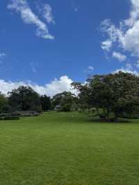 Cornwall Park｜城市裡的綠野仙蹤 