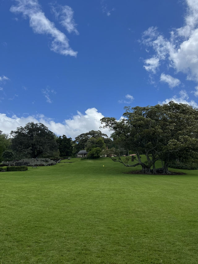 Cornwall Park｜城市裡的綠野仙蹤 