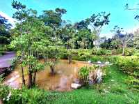 Nostalgic feels at Cascading creeks